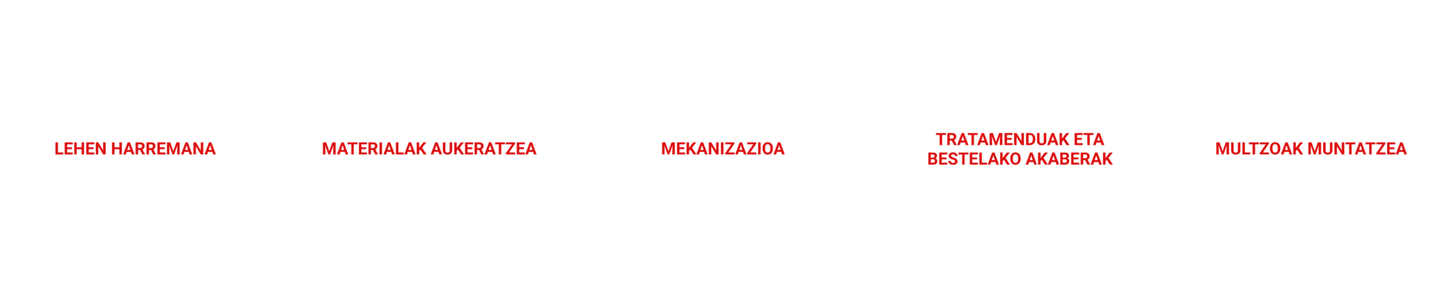 Meraki eta Zerbimek laneko metologia